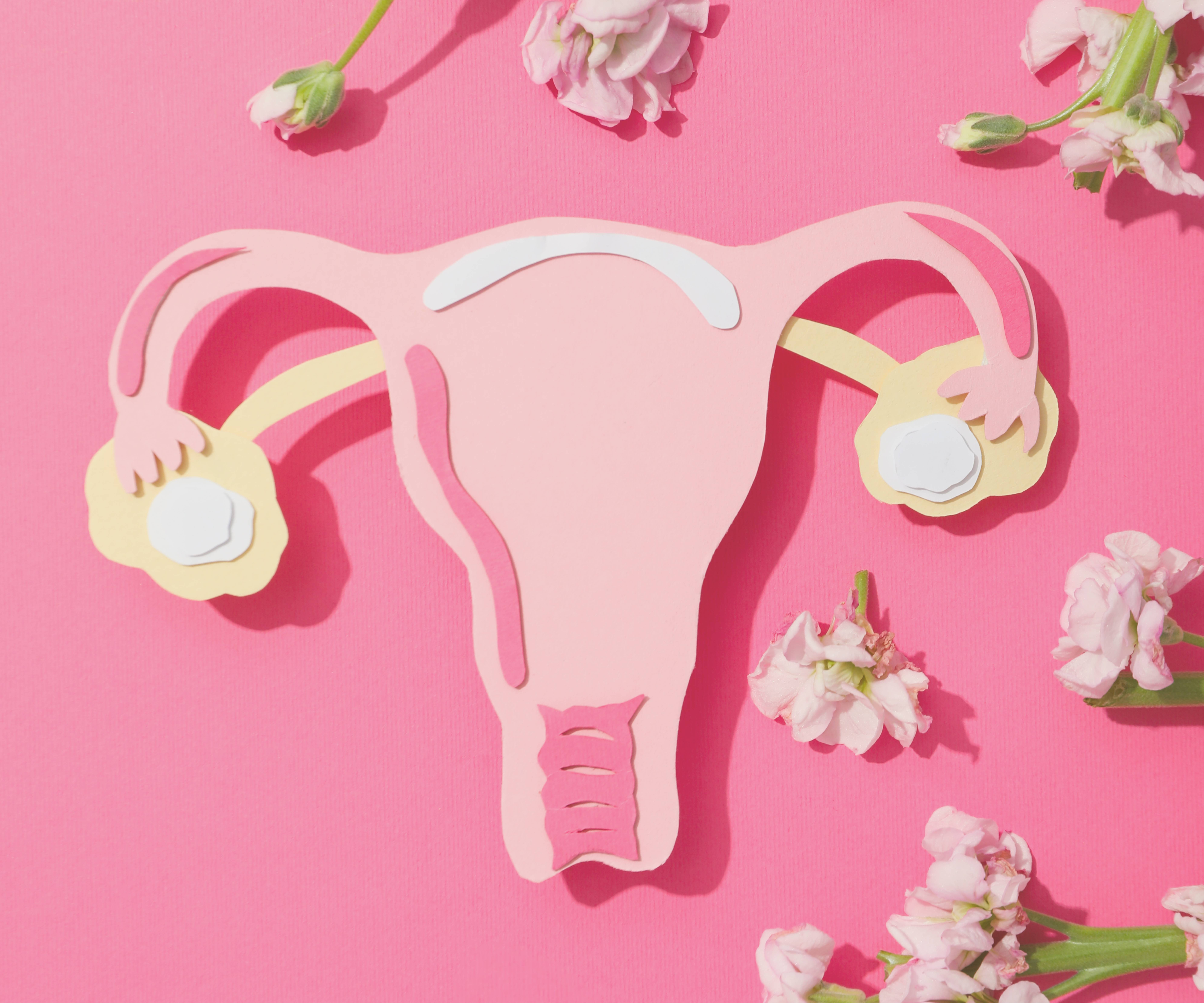 Natural Estrogen Boosters